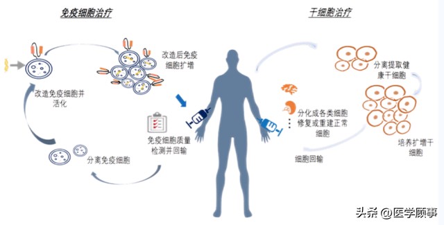 基因疗法最新进展，开启未来医学新篇章的大门