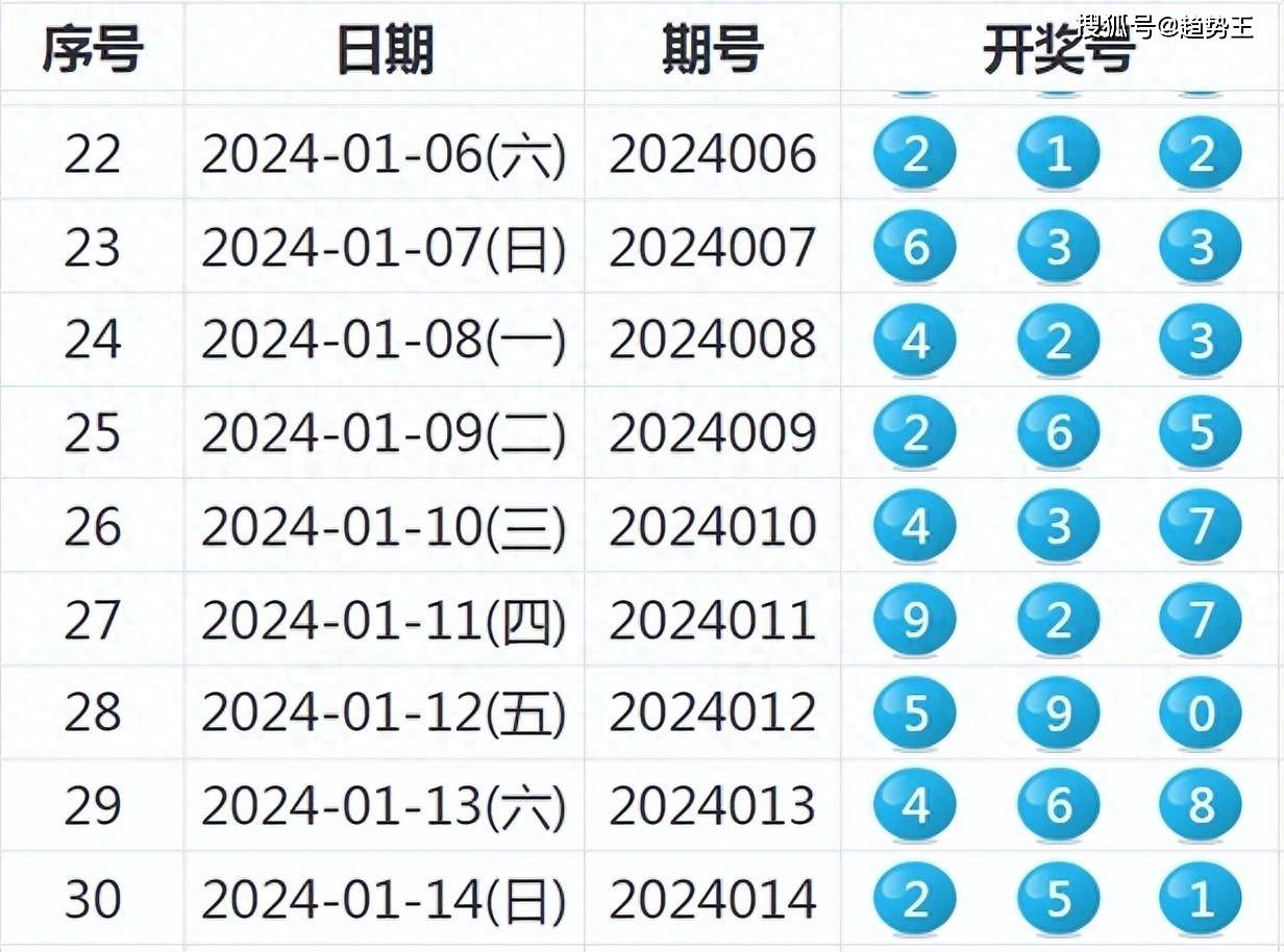 2024年新奥开奖结果,定性解答解释定义_试用版15.676