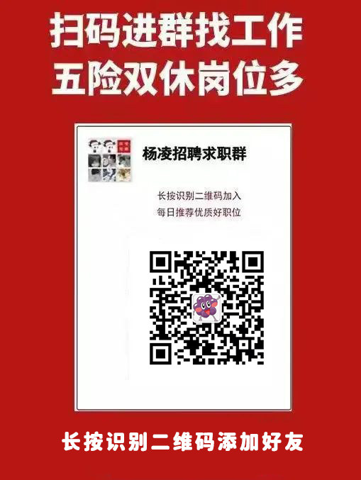 杨凌最新招聘信息在线，探寻职业发展的新起点