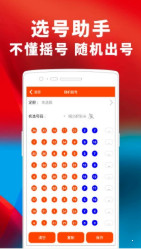 新澳2024今晚开奖资料四不像｜精选解释解析落实