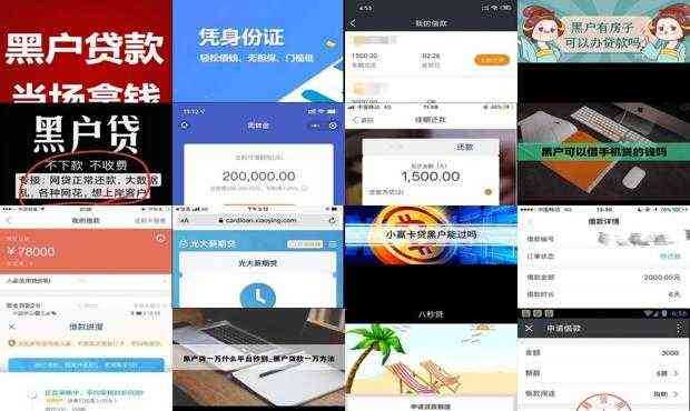 关于黑户网贷APP最新口子及相关违法犯罪问题的深度探讨